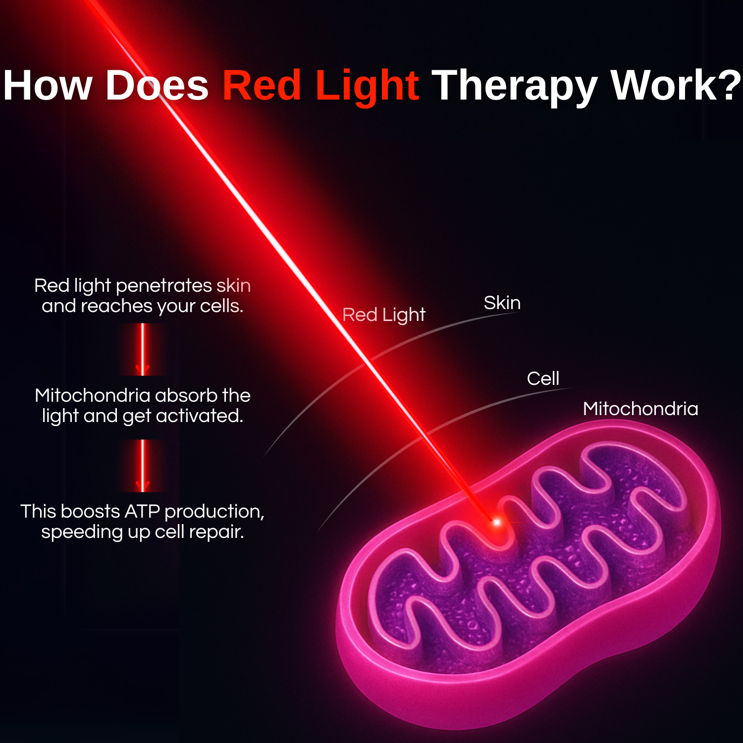 Red Light Therapy Panel